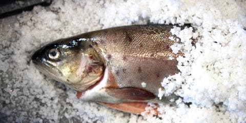 Saltbakt fisk