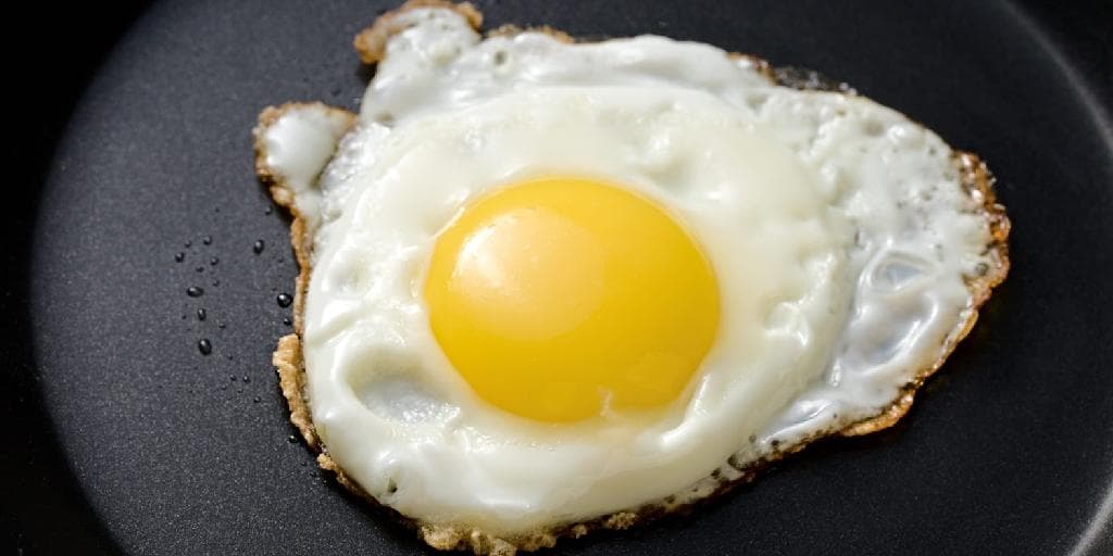 Egg