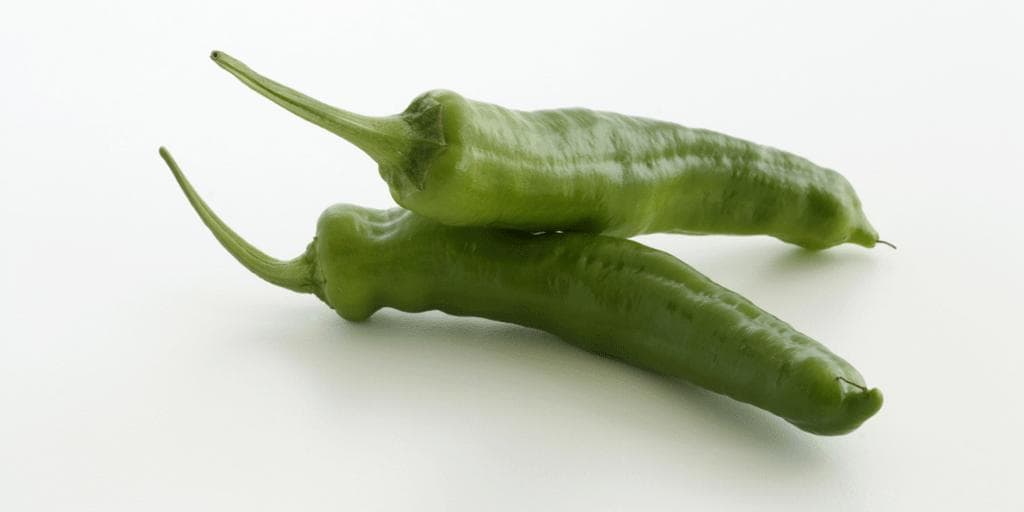 Grønn chili