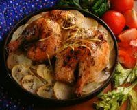 Ovnsbakte kyllinglår på potetseng
