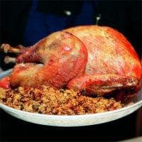 Kalkun - Thanksgiving Turkey