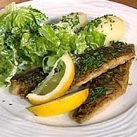 Stekt makrell, salat med rømmedressing
