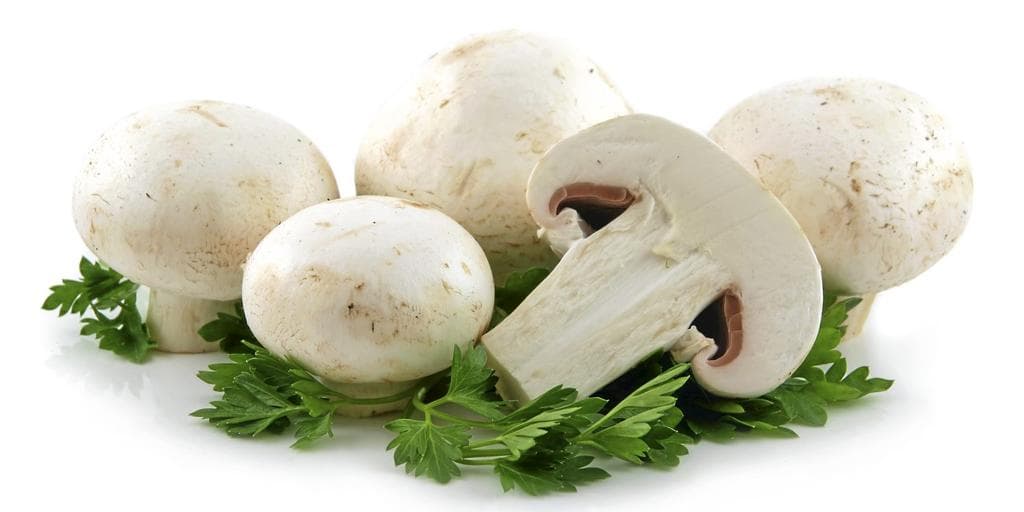 Aromasopp