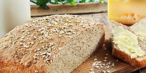 Havrebrød