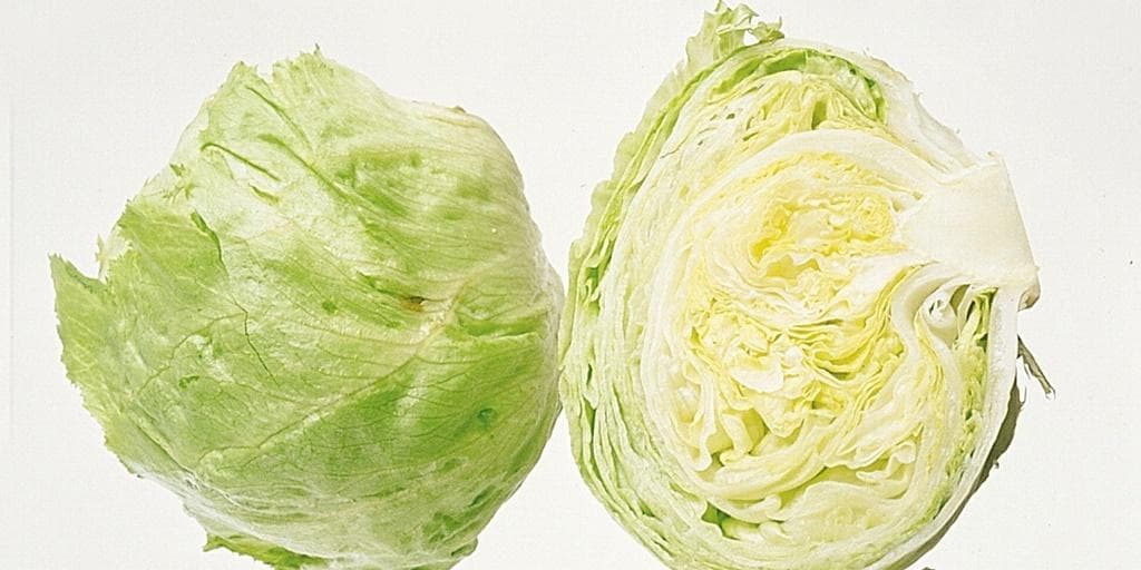 Isbergsalat