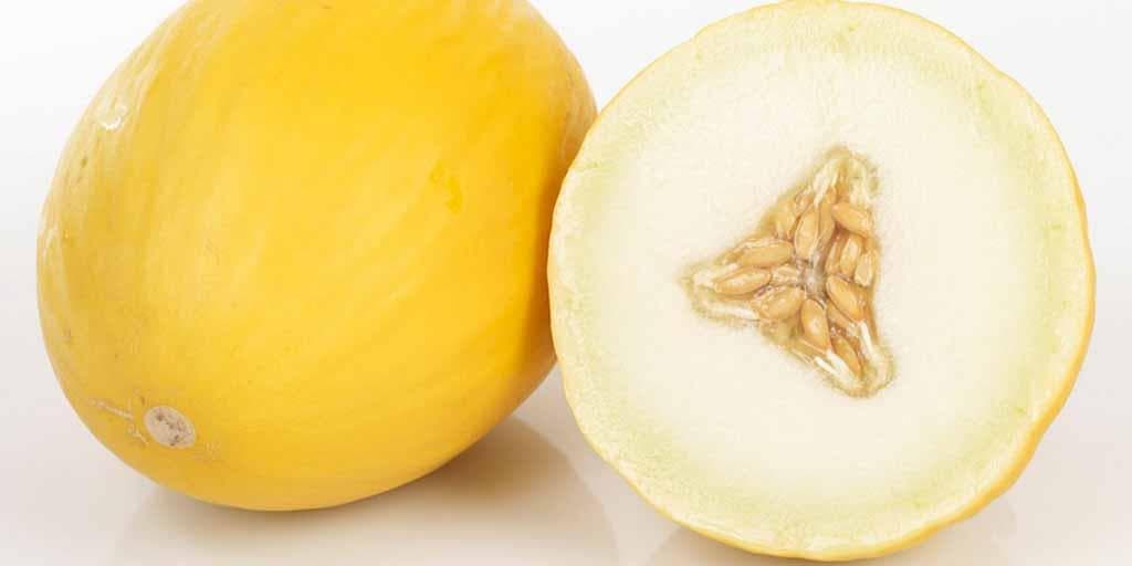 Honningmelon