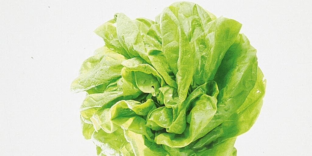 Hodesalat