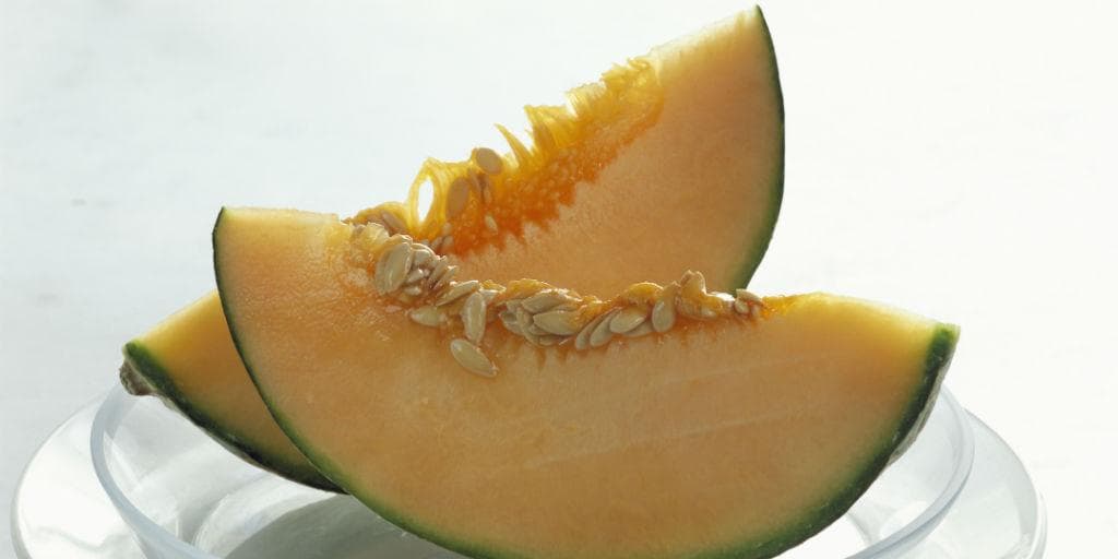 Melonkjernefrø