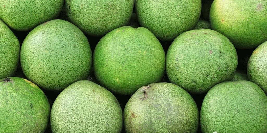 Pomelo