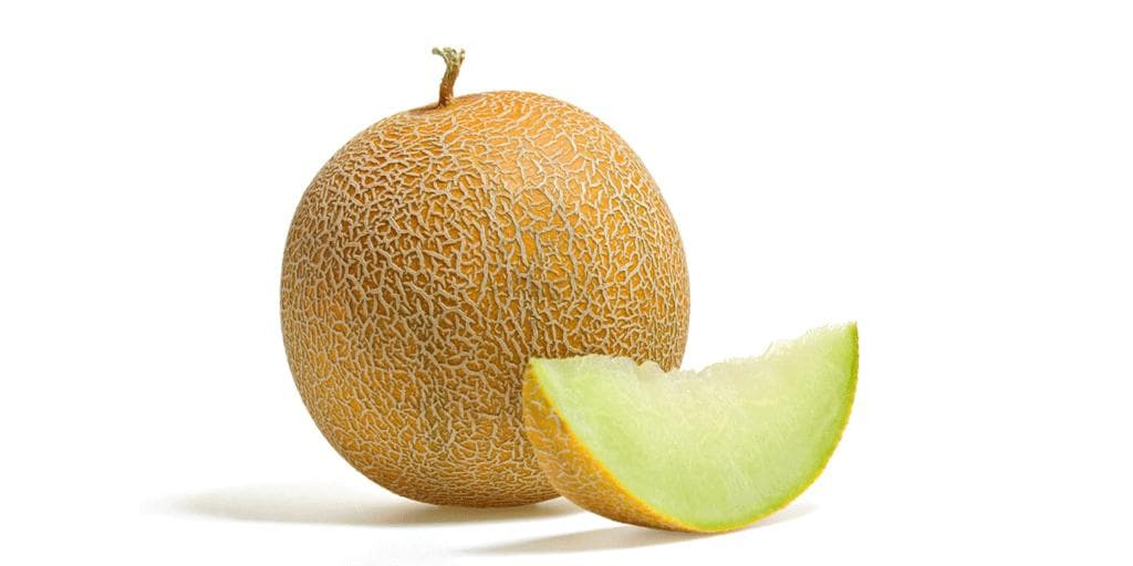 Galiamelon