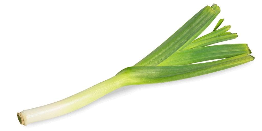 Purreløk