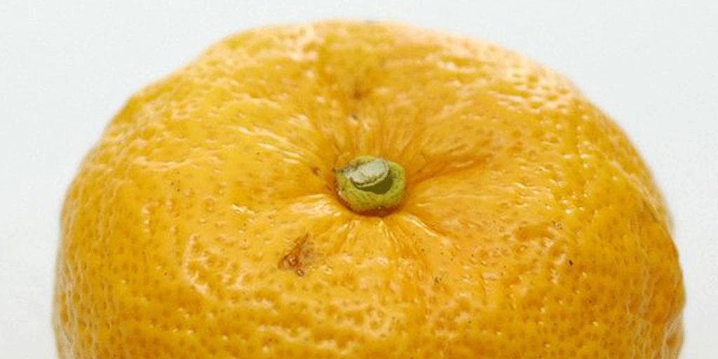 Yuzu