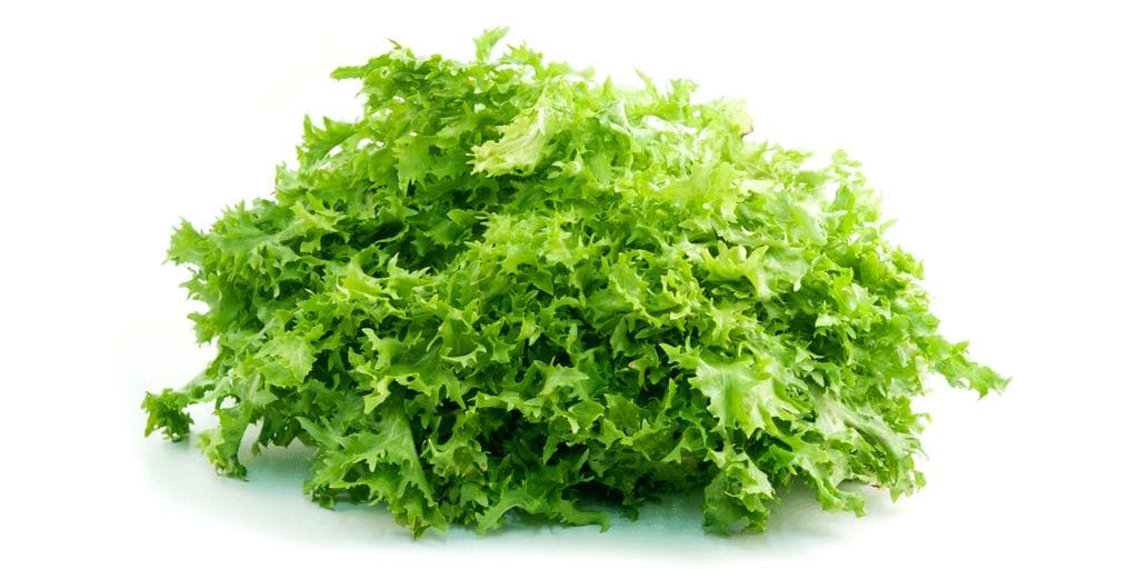 Friséesalat