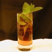Brandy Julep
