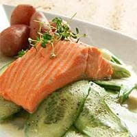 Ørretfilet med agurksalat