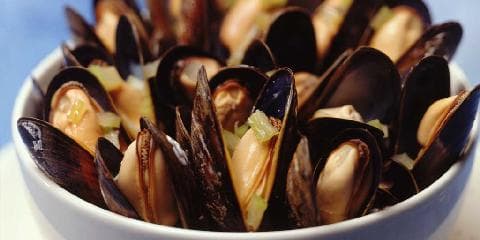 Øldampede blåskjell