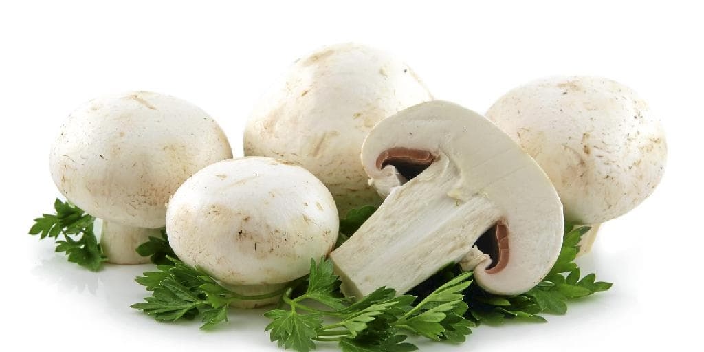 Champignon