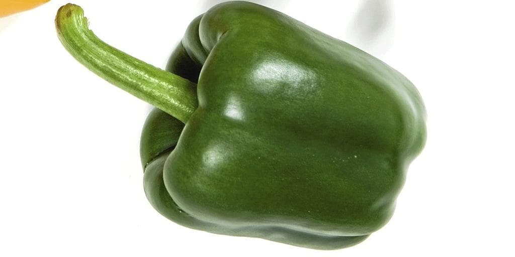 Grønn paprika